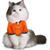 Kristin Dorchuck's profile image