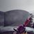 Sheila Ann Kelly's profile image