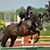 Connie LoMonaco's profile image