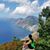 Monica Fabara's profile image