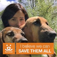 Danielle Hynes's profile image