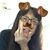 Janet Trevino's profile image