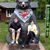 Beth Dressel's profile image