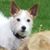 Brenda Nieman's profile image
