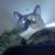Peter R Deimel's profile image