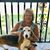 Linda Howald's profile image