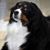 Marge Mc Gurk Hudak's profile image