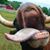 Salvo Umberto's profile image