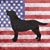Ann Dunn's profile image