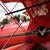 Rae Ann Dighton Holub's profile image