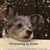 Diane Sussman Ragsac's profile image