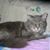 Jean Caruthers's profile image