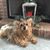 Louise Brown's profile image