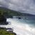 Julie McAleer's profile image
