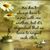 Cherokee Rose Cotton's profile image