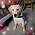 Trudy Stilwell Vetter's profile image
