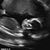 Samantha Englund's profile image
