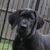 Joyce Adams Andrade's profile image