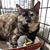 Judy Johnsen's profile image