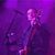 Steve Payne's profile image