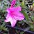 Linda Brown's profile image