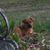 Jaime Lou Fleming's profile image