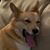 Tyler Luxem's profile image
