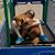 Sandee O'Neill's profile image