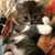 Mandy Hughes's profile image