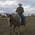 Jim Dunn's profile image