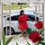 Sharon Henley's profile image