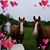 Sandy Holden's profile image