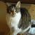 Rindy Moffatt DeBaun's profile image