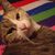 Theresa Caswell's profile image