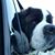Susan Steve Cresswell's profile image