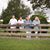 Heather Baier Widener's profile image