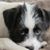 Catherine Cerqua's profile image