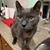Cynthia Maria Ibanez's profile image