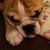Jeanine VanPatten's profile image