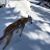 Sue Greiser's profile image