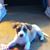 Marcella Pitts's profile image