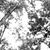 Wendy Elliott Crabtree's profile image
