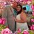 Toniann Volkman's profile image