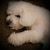 Mickey Young's profile image