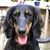 Cynthia Stocks Reinhard's profile image
