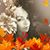 Brittany Dawn Jolley's profile image