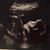 DiAnna Turnbaugh's profile image