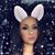 Marisol Ponce's profile image
