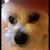 Leah Gauthier's profile image
