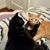 Cathy Batson's profile image